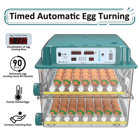 Chalixion adjustable roller system adapts spacing for different eggs.