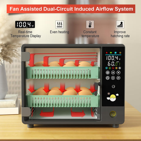 Chalixion auto turn 360 egg incubator demonstrates consistent turning.