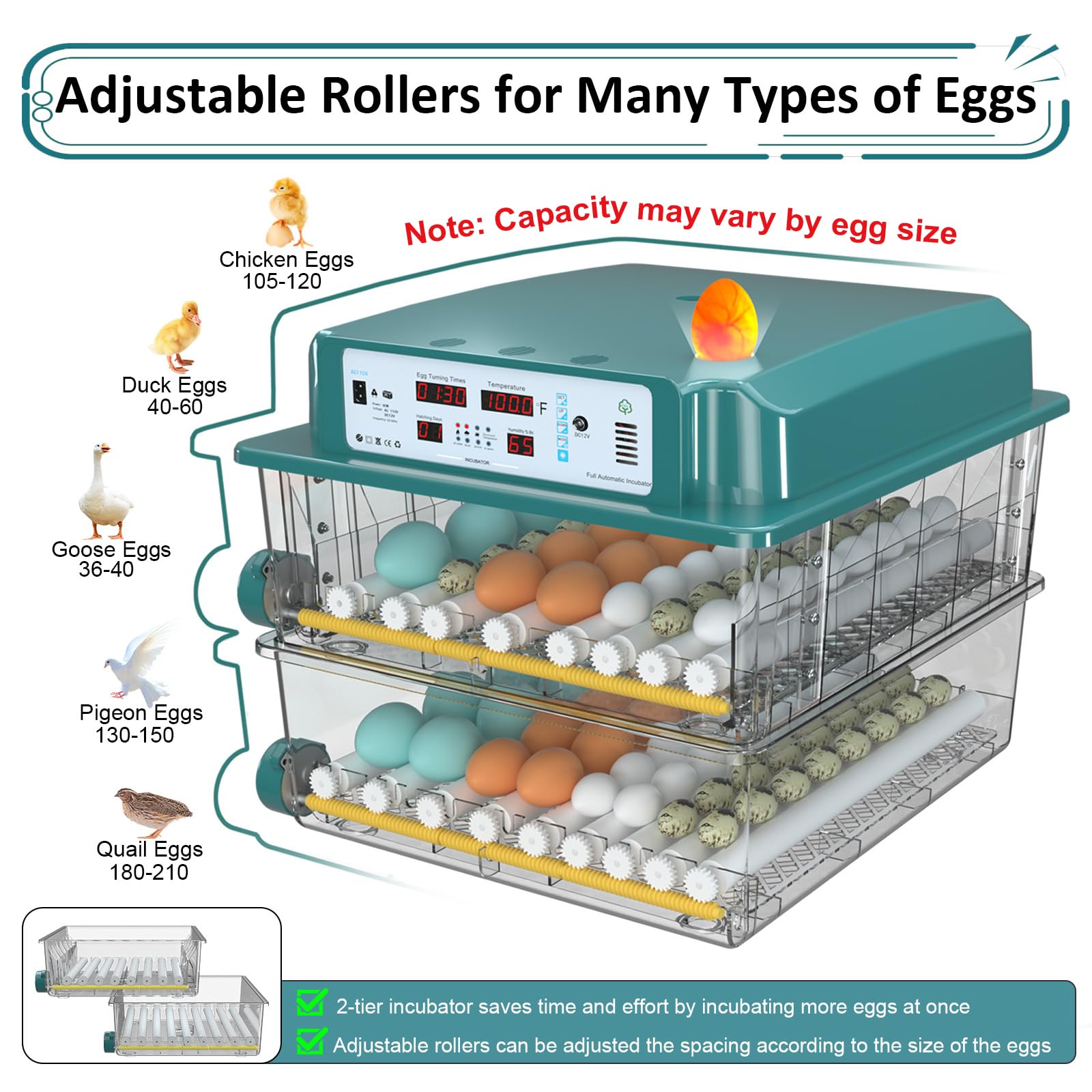 Chalixion built-in egg candler enables quick checks in low light.