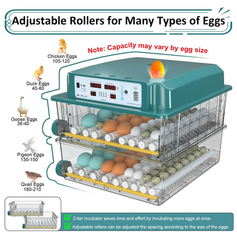 Chalixion built-in egg candler enables quick checks in low light.