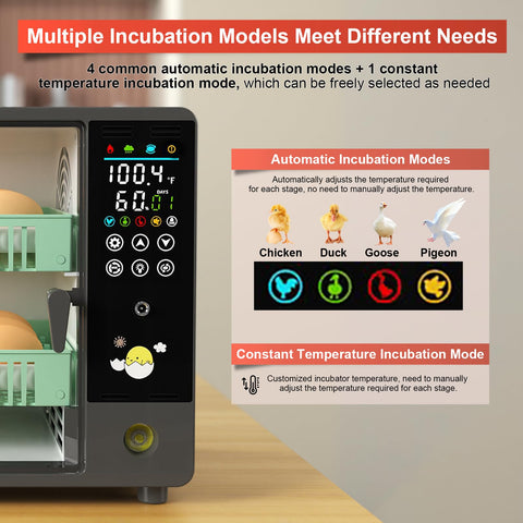 Chalixion humidification system image illustrates balanced humidity for development.