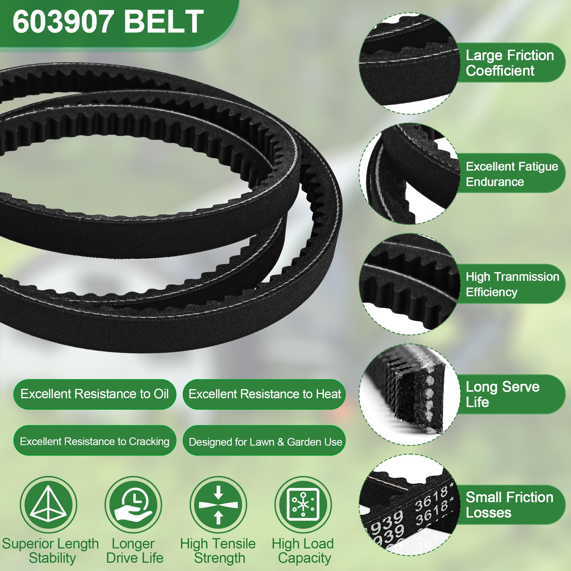ChangTa 2-pack in box indicates dual replacement belts ready for maintenance