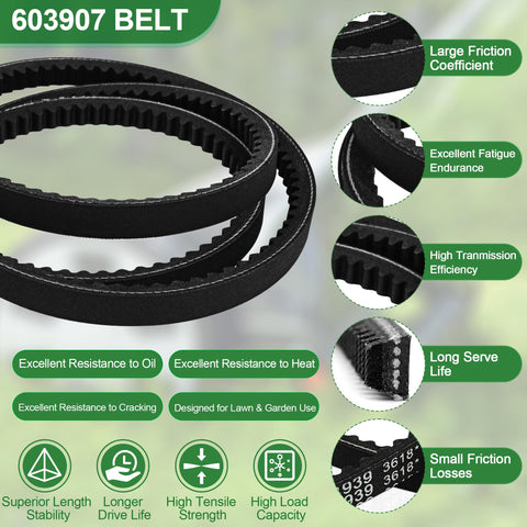 ChangTa 2-pack in box indicates dual replacement belts ready for maintenance