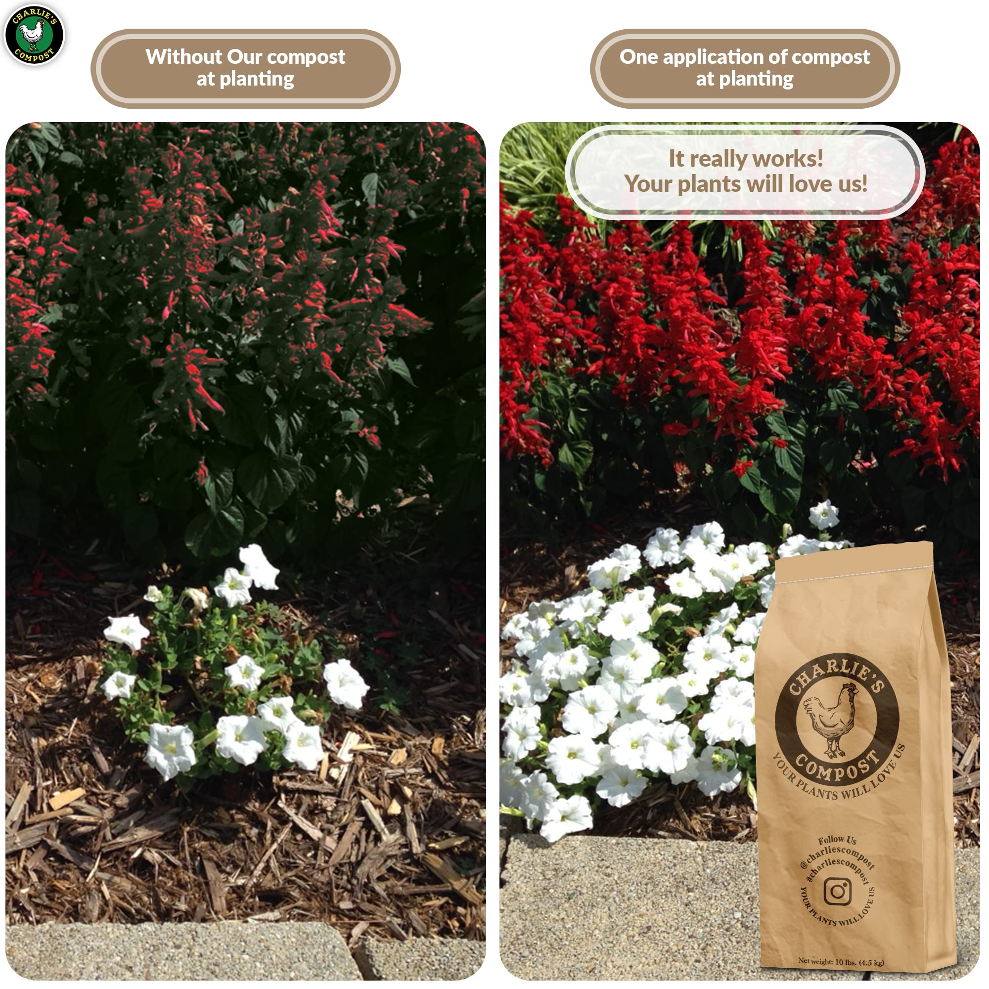 Charlie's Compost biochar amendment improves moisture retention and soil health.