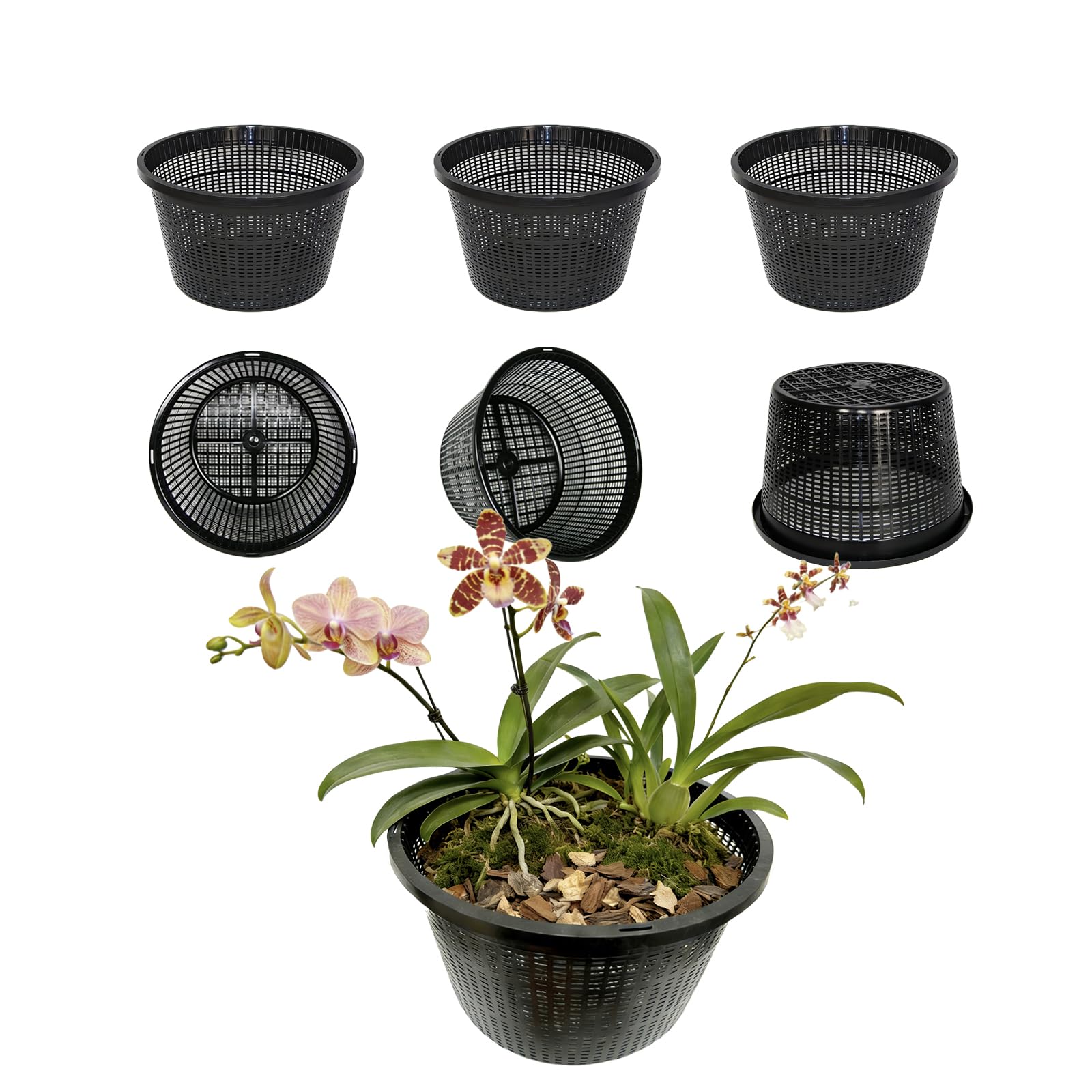 CHTASO six-pack plant baskets ideal for versatile planting