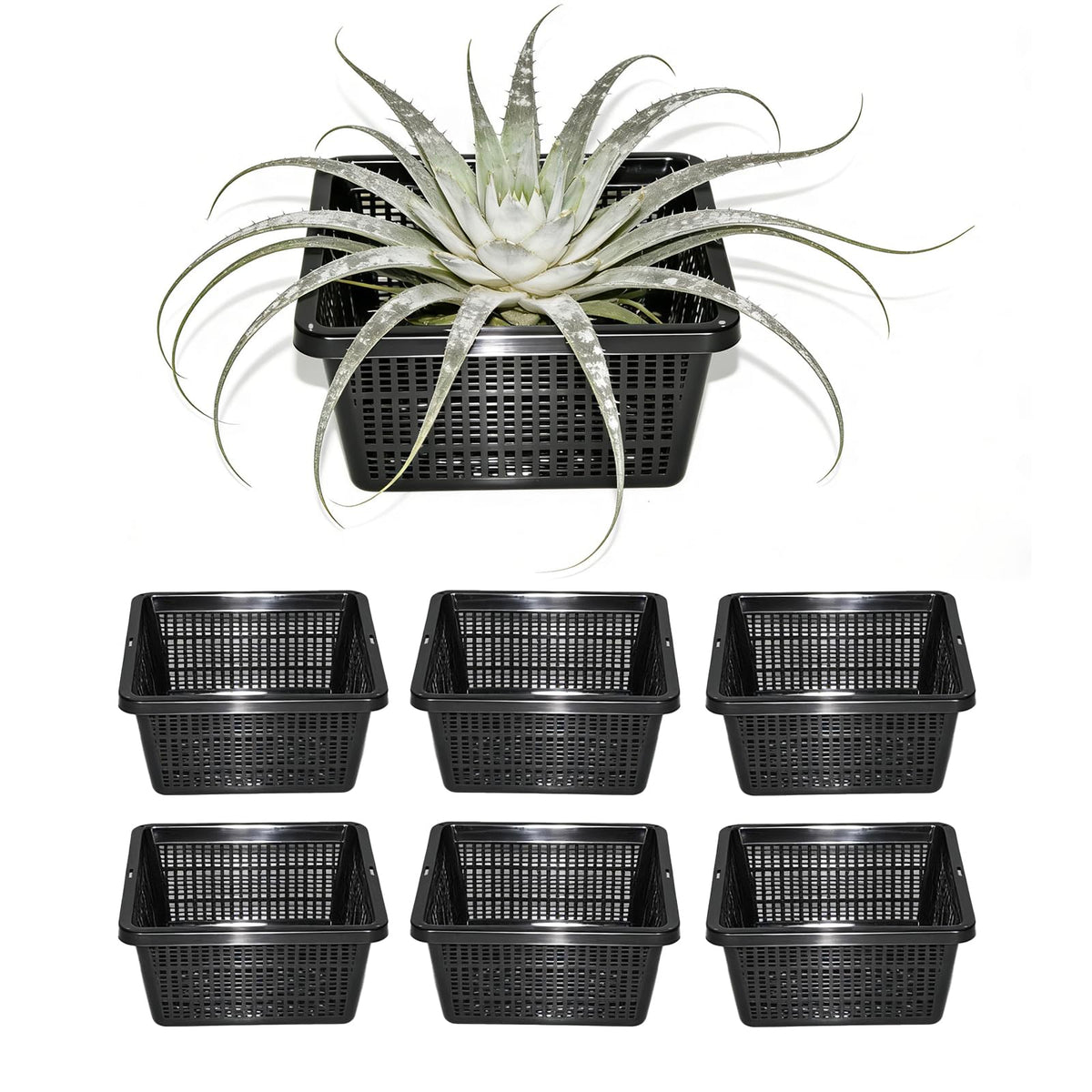 CHTASO six-pack square aquatic planter baskets with 7-inch mesh pots for pond plants