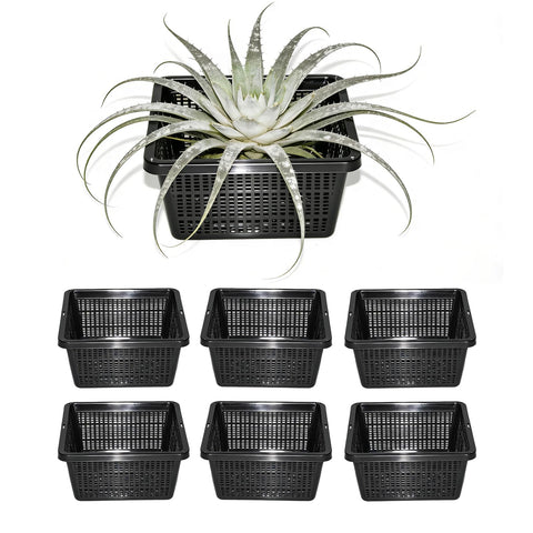 CHTASO six-pack square aquatic planter baskets with 7-inch mesh pots for pond plants