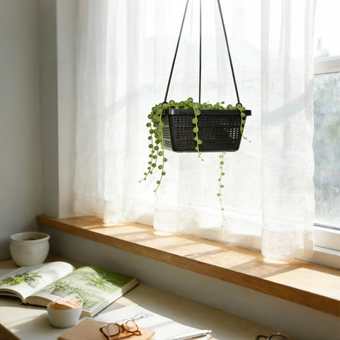 CHTASO easy-install pond basket to lower and secure plants