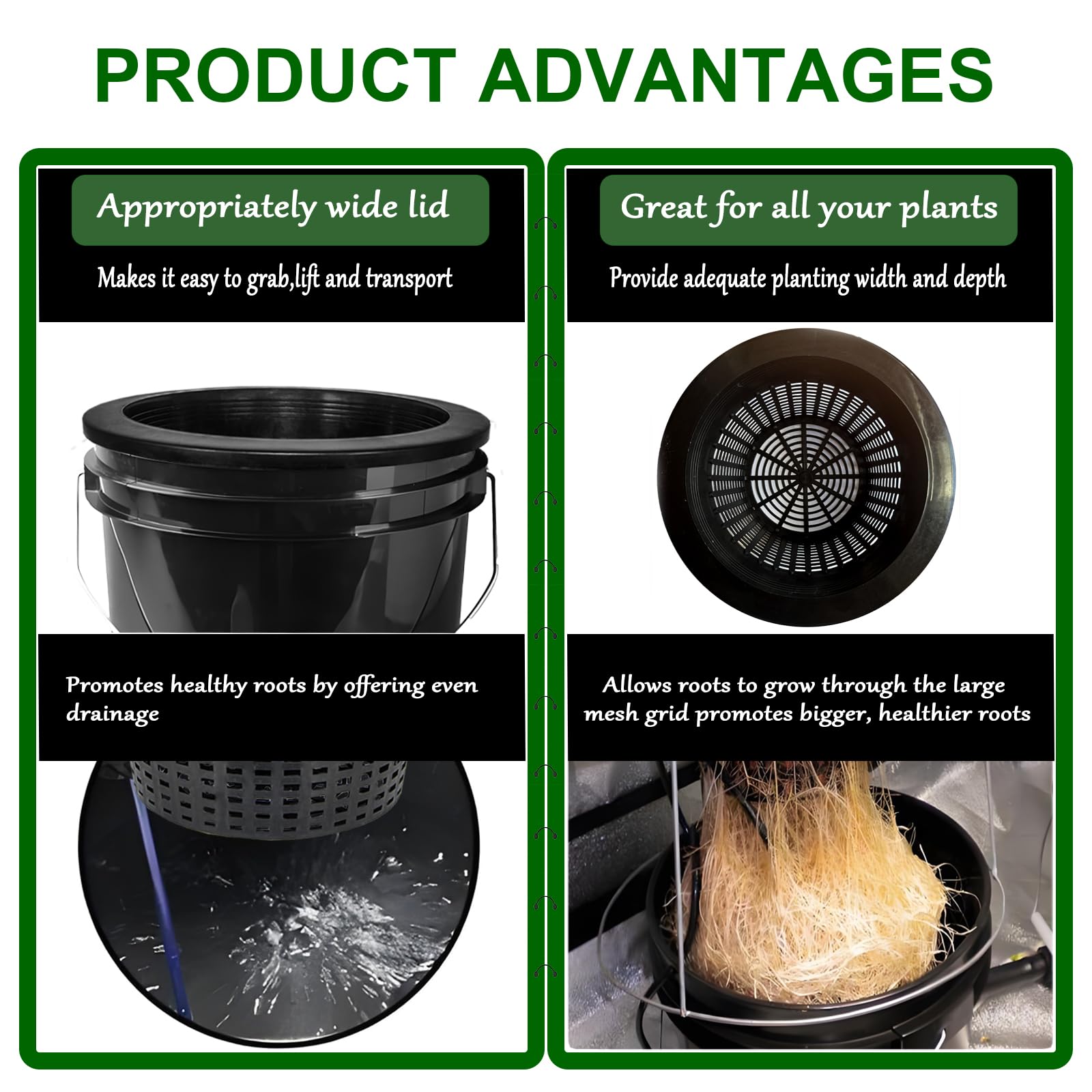 CHTASO perforated basket enables drainage and airflow around roots