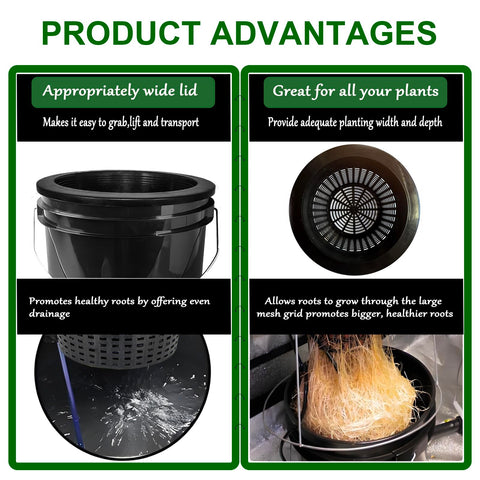 CHTASO perforated basket enables drainage and airflow around roots