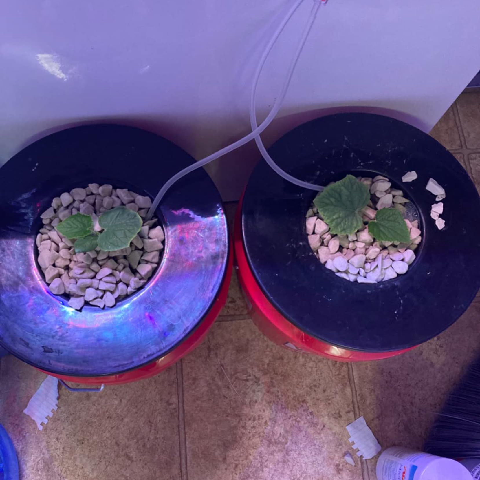 CHTASO hydroponics lid compatible with aquaponics and DWC setups