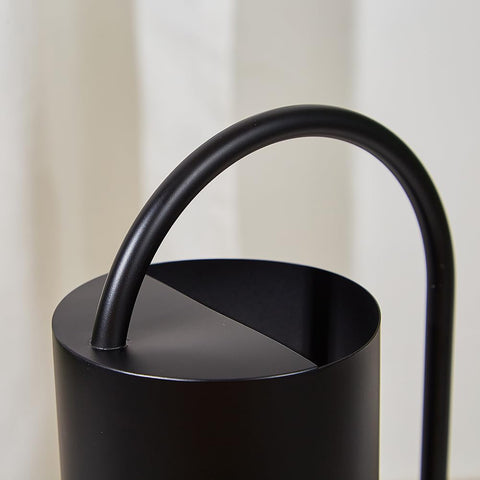 Chemlliy indoor-plants watering can is lightweight and well balanced.