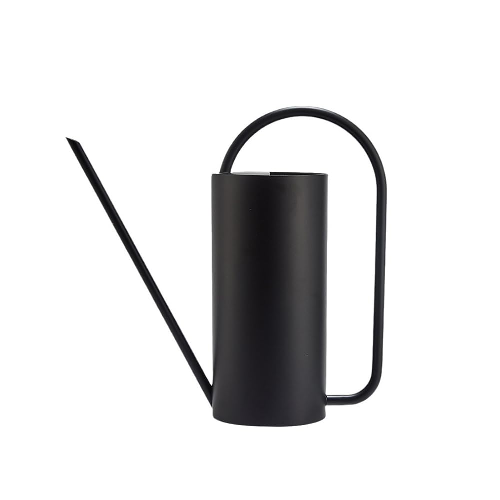 Chemlliy watering can with long spout provides precise indoor plant watering.