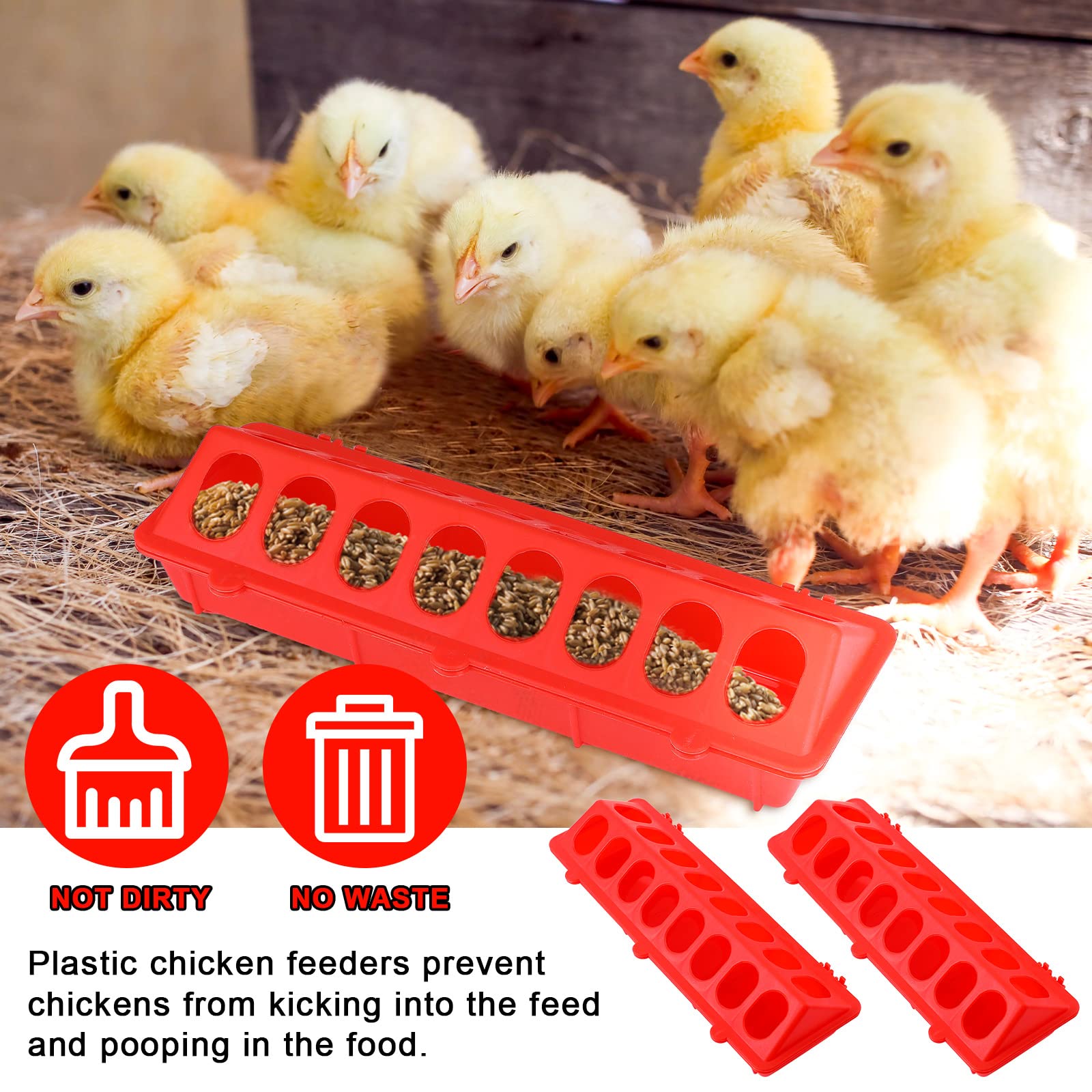 CHENGU feeder in use in a brooder for mess-free feeding