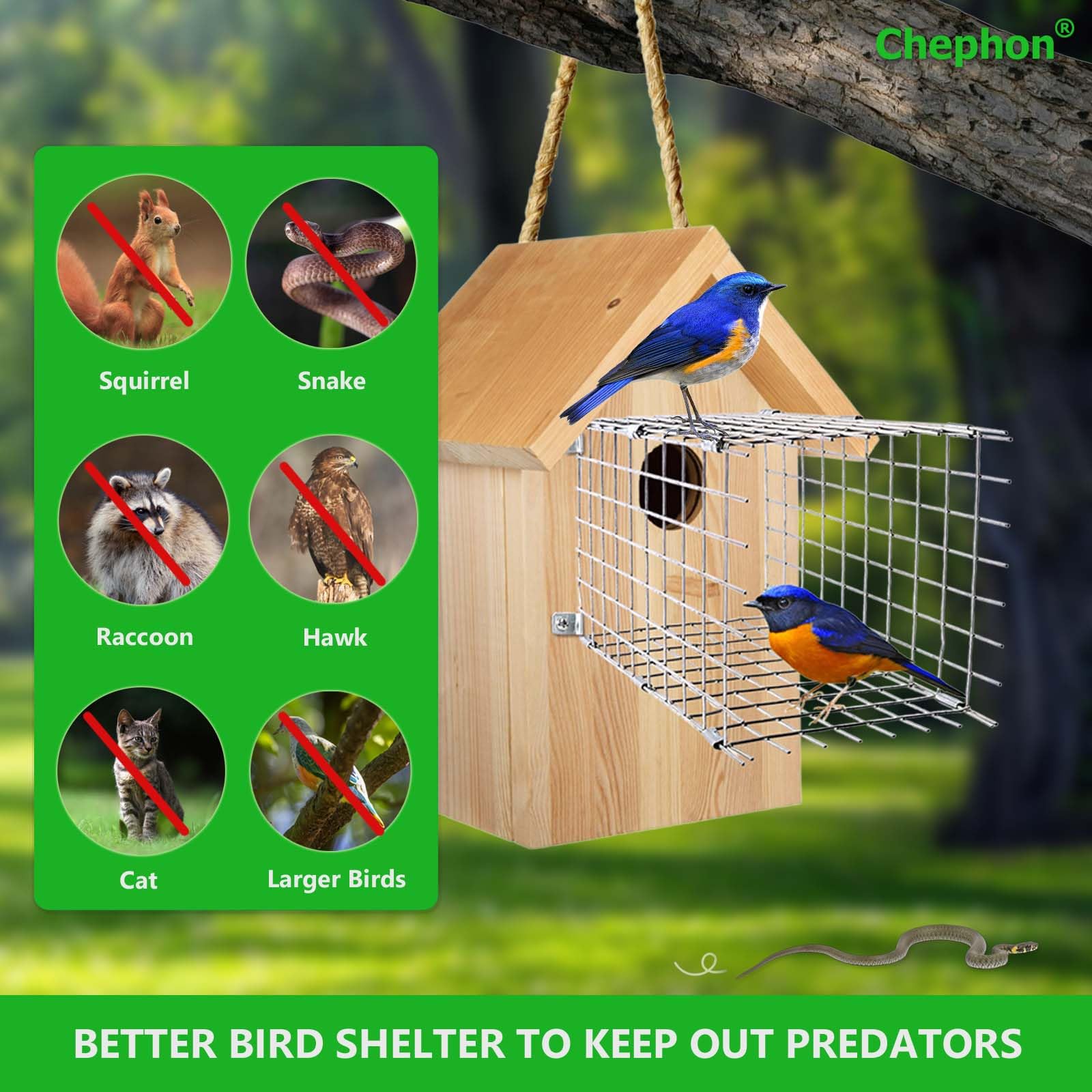 Chephon Bluebird Predator Guards fitted to a square bluebird box, protecting the entry.
