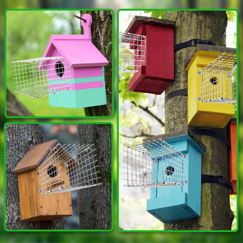 Chephon Bluebird Predator Guards add nest protection and keep chicks safer.