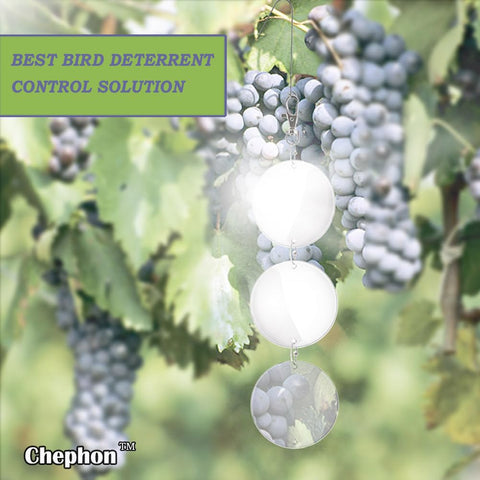Chephon easy-install bird scarer discs for quick garden setup
