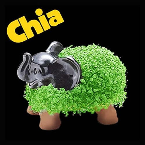 Chia collection offers endless characters to collect and display.
