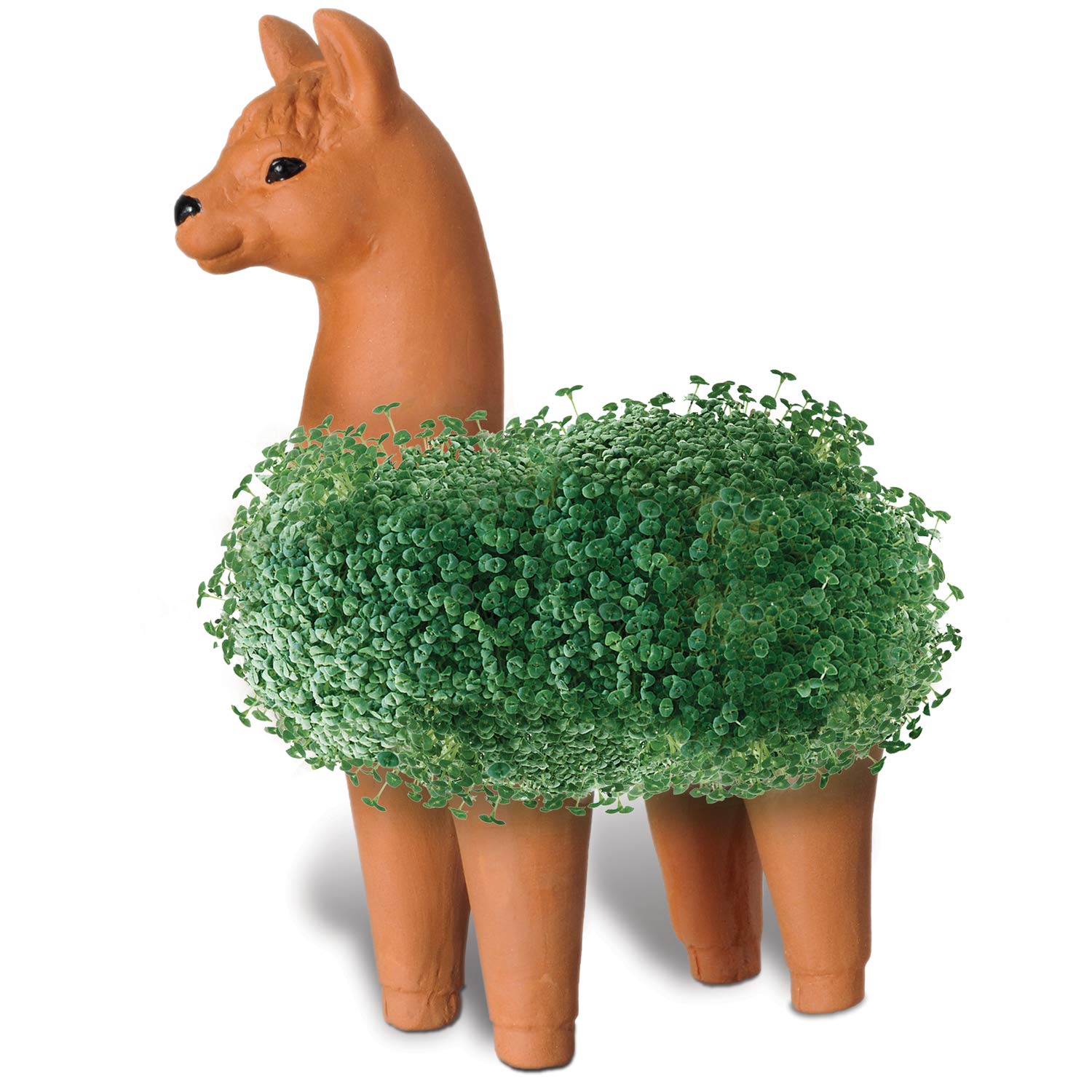 Chia CP439-01 llama grows a lush coat in 1-2 weeks, visually rewarding.