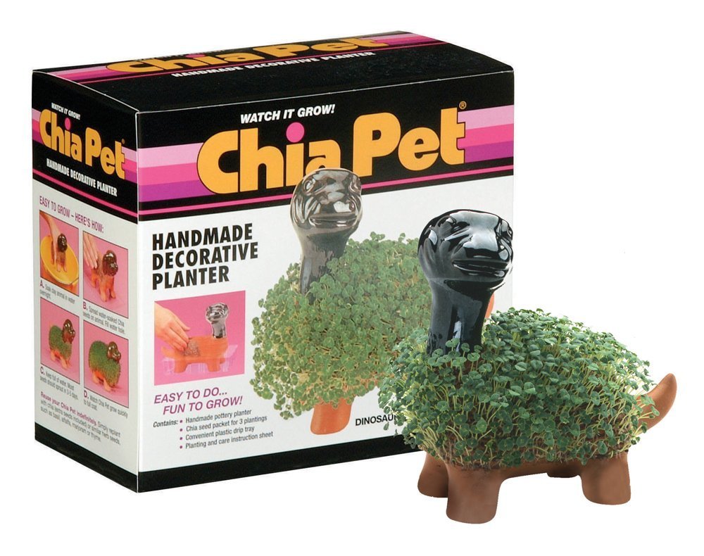 Chia Dinosaur Pet planter with seed pack, easy to grow greenery for home decor.
