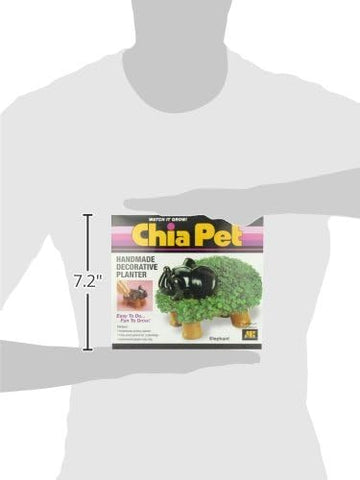Chia Elephant decorative display enhances shelves, desks, or tabletops.