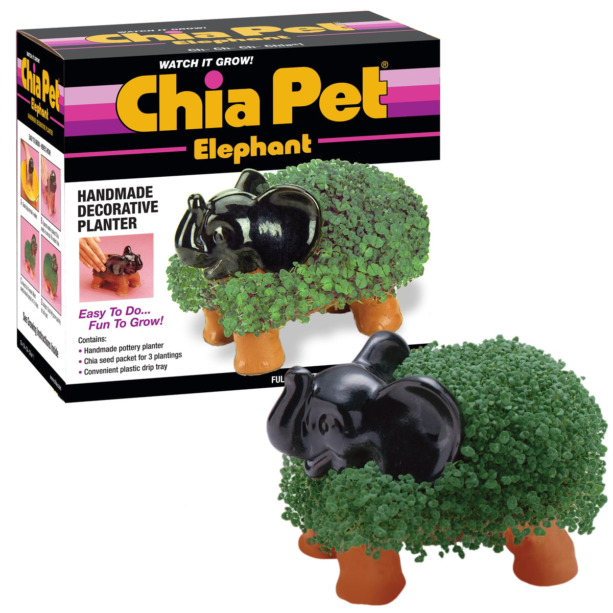 Chia Elephant planter with seed pack ready for easy growth and play.