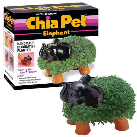 Chia Elephant planter with seed pack ready for easy growth and play.