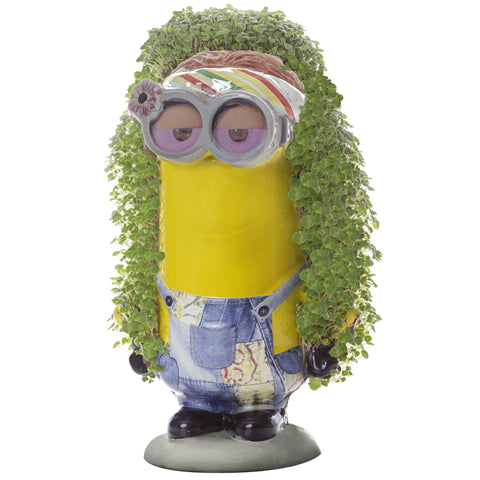 Chia Pet Kevin Minions growth kit with reusable planter and seeds.