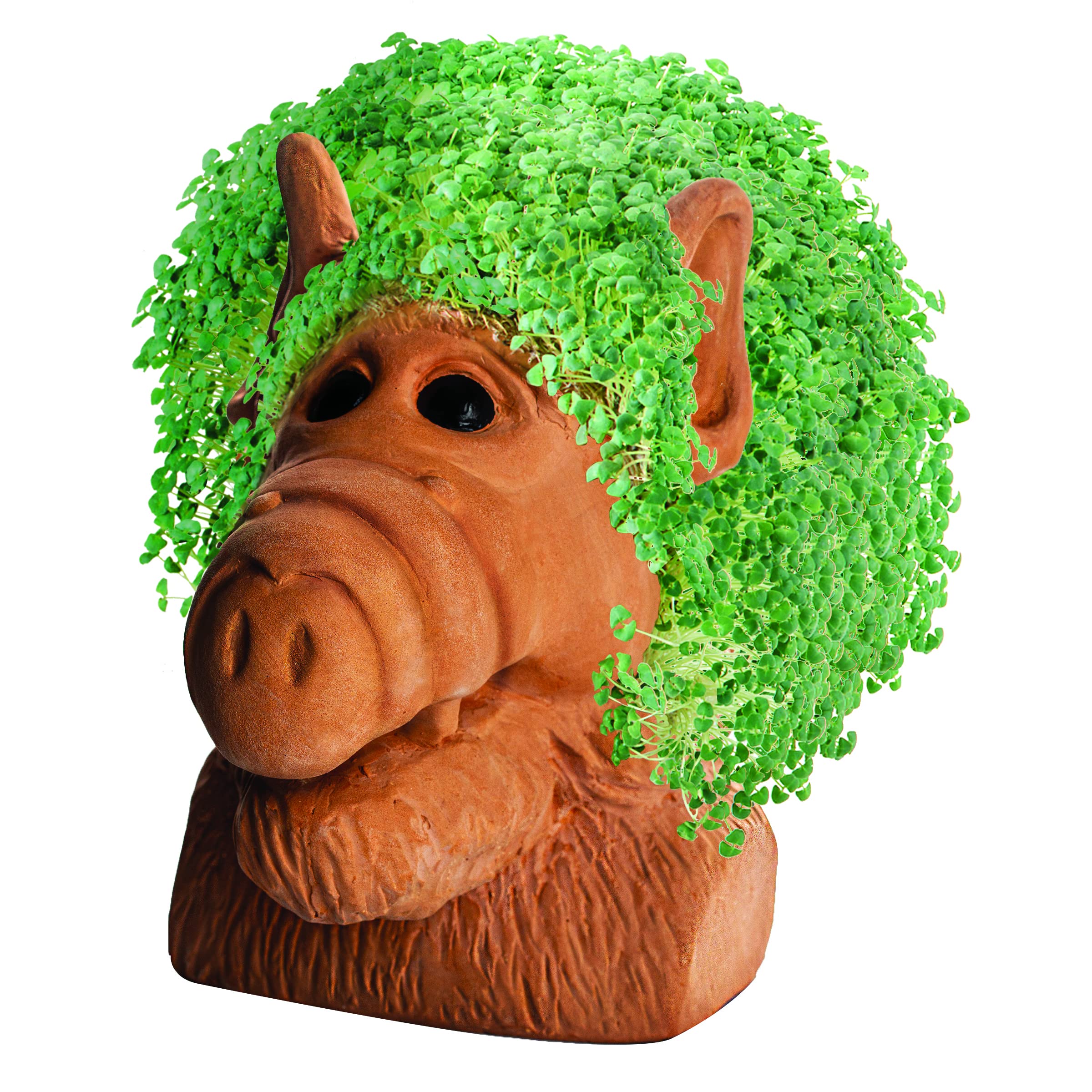 Chia Pet Alf growth stage – lush sprouts emerge within days