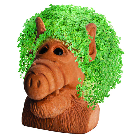 Chia Pet Alf growth stage – lush sprouts emerge within days