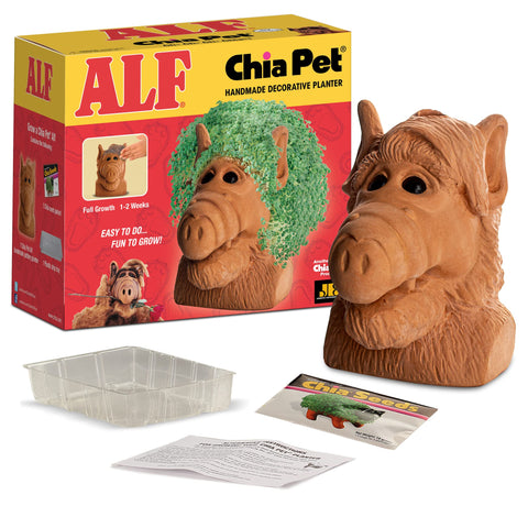 Chia Pet Alf terracotta planter – decorative home decor with easy upkeep