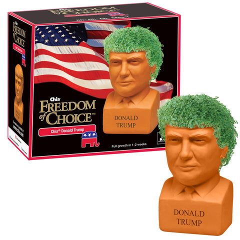 Chia Pet Donald Trump planter ready for quick green growth.
