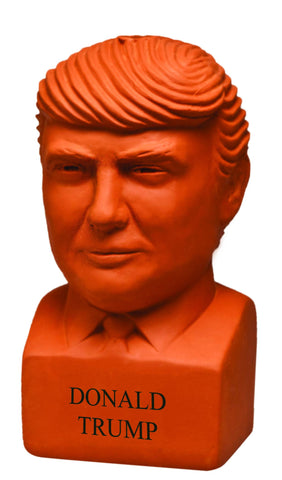 Chia seed pack for Donald Trump Chia Pet enabling multiple plantings.