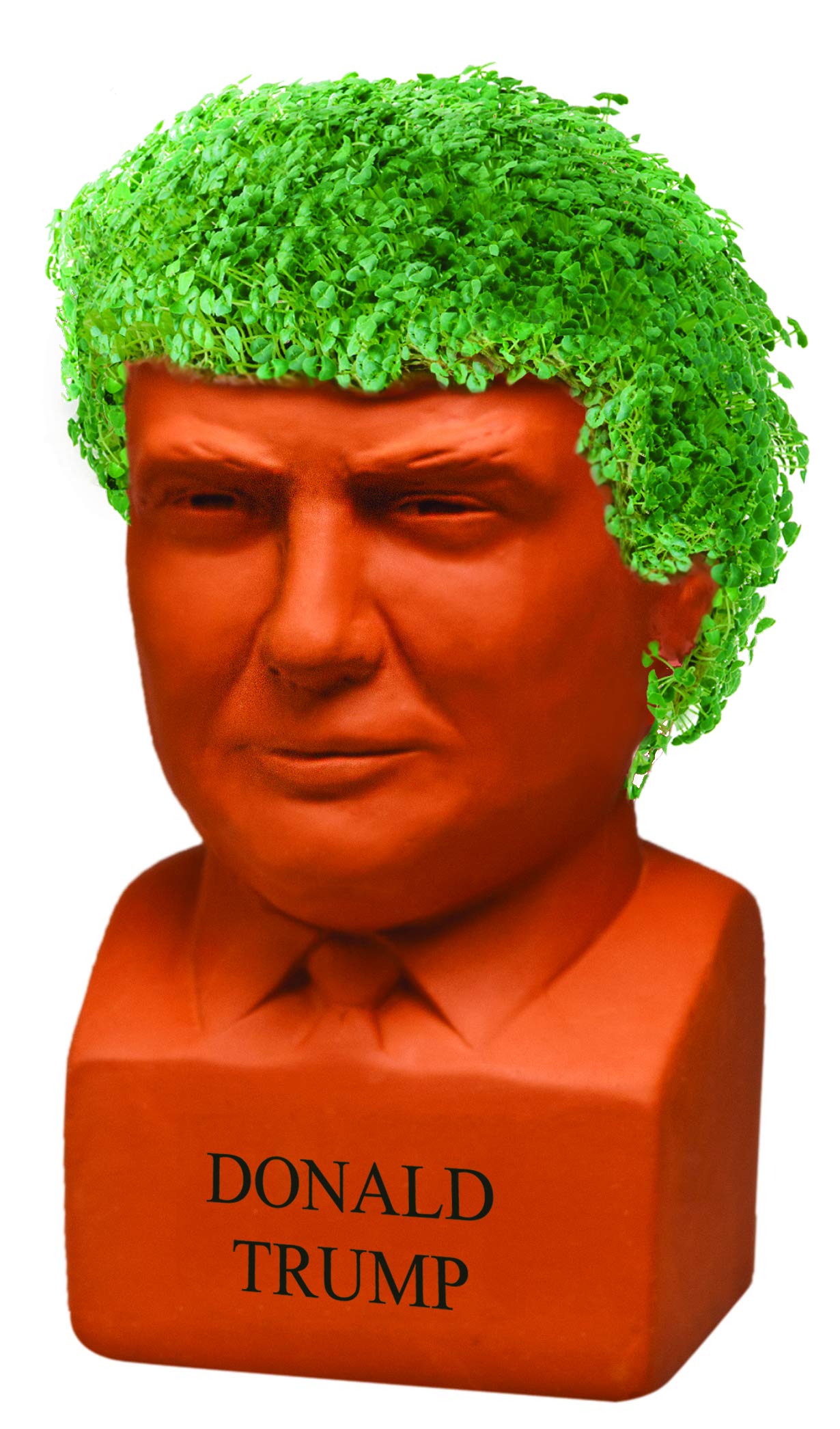 Donald Trump Chia Pet sprouts with lush green coat after a few weeks.
