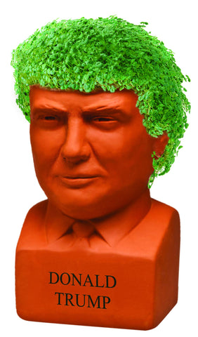Donald Trump Chia Pet sprouts with lush green coat after a few weeks.