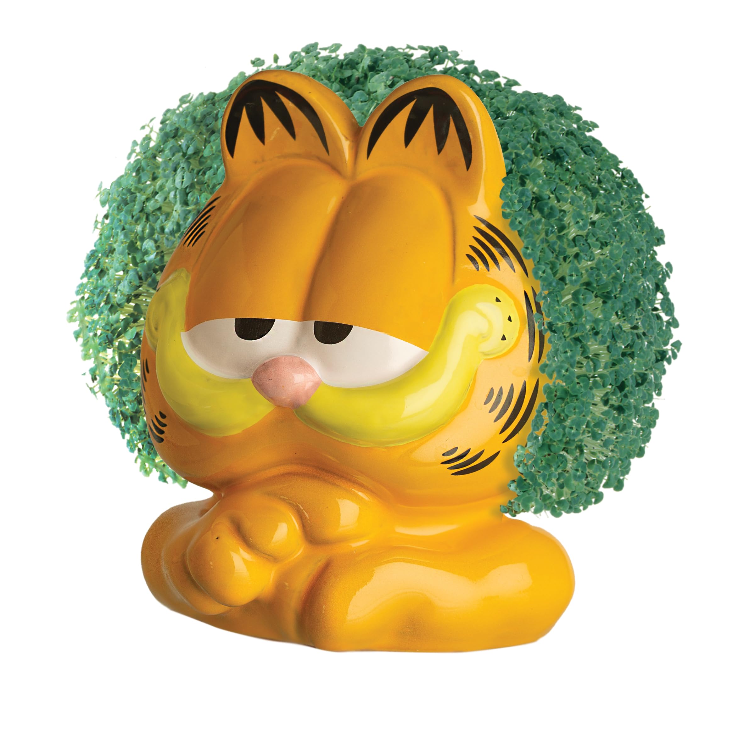 Chia Garfield care steps guide enables simple repeat plantings.