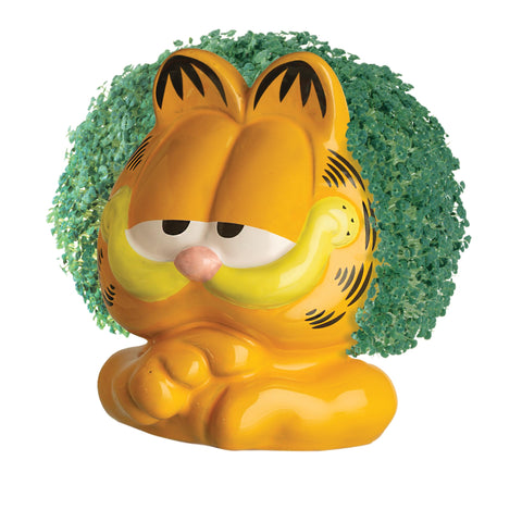 Chia Garfield care steps guide enables simple repeat plantings.