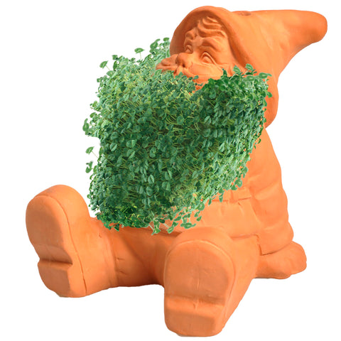 Chia Pet Gnome growth coat appears in 1–2 weeks for a lush display.