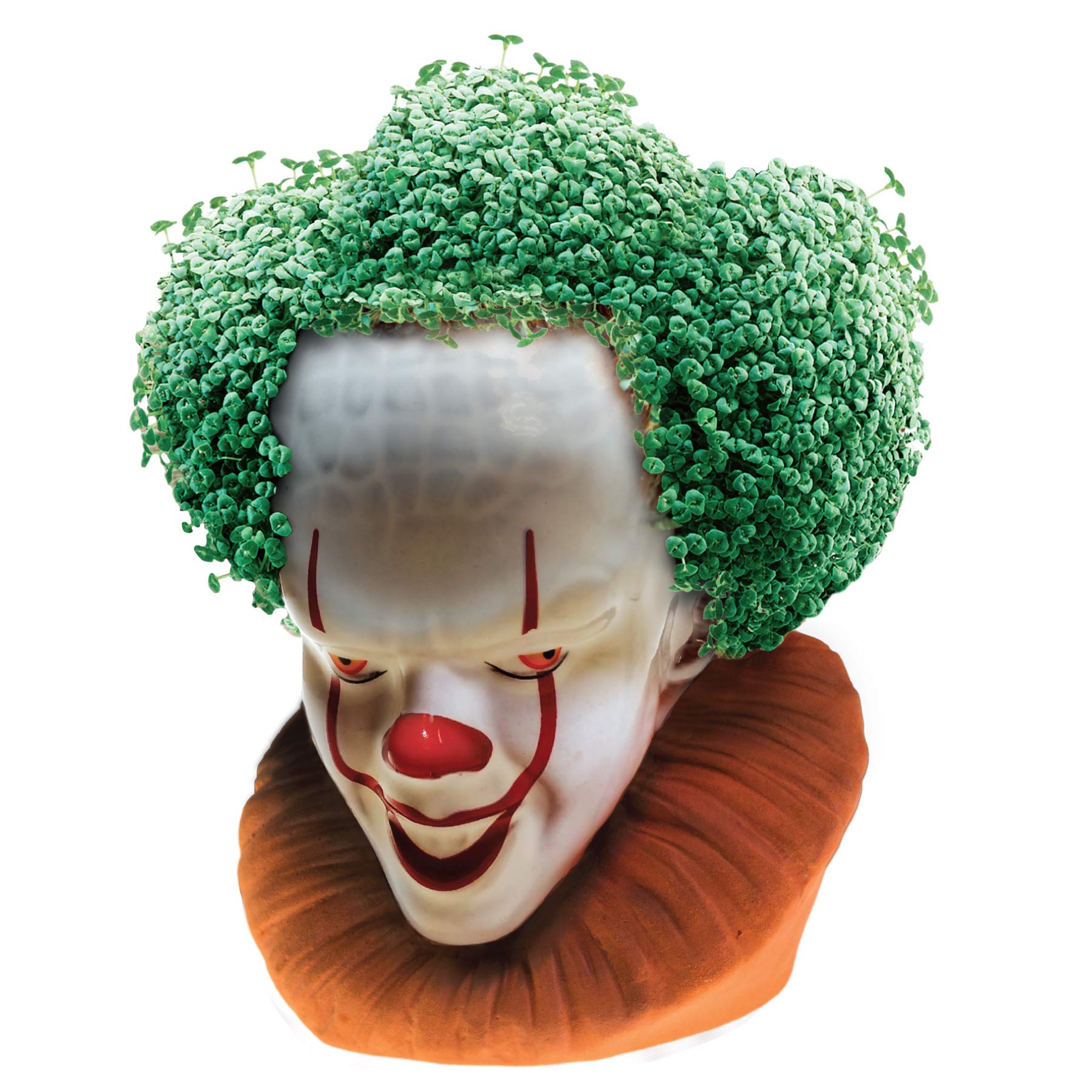 Chia Pet IT Pennywise growth coat photo demonstrates full green coverage in 1–2 weeks