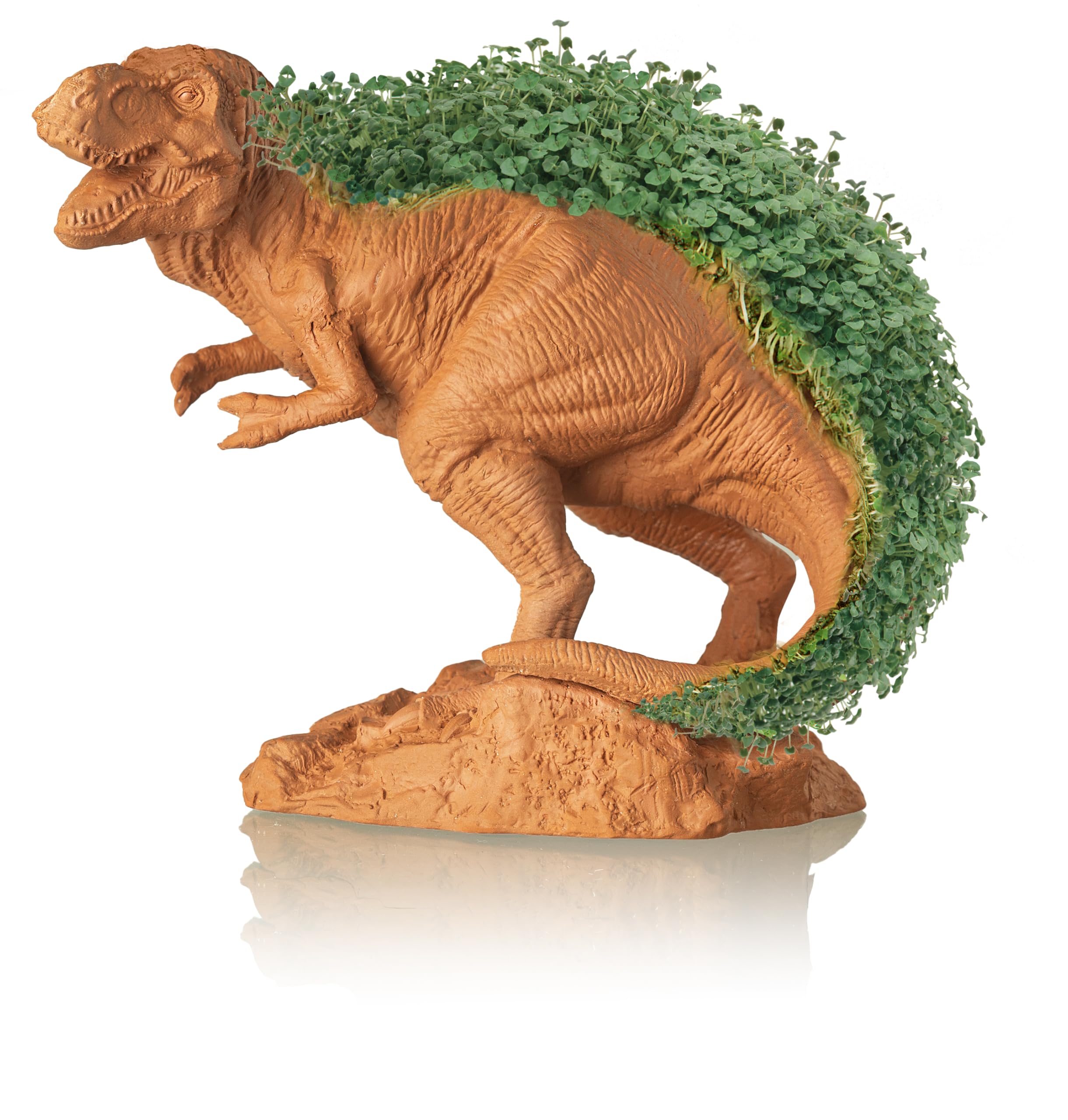 Chia Pet T-Rex gift-ready planter suitable for birthdays or holidays