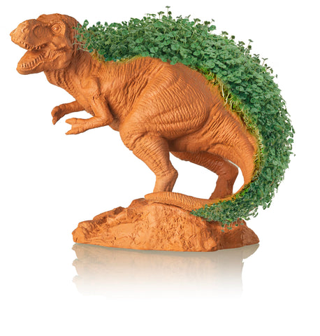 Chia Pet T-Rex gift-ready planter suitable for birthdays or holidays