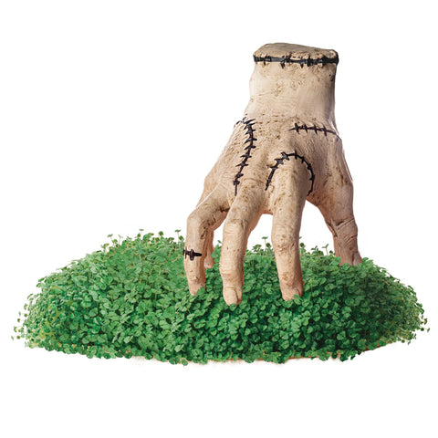 Chia Pet Thing Wednesday with drip tray for tidy watering and display.