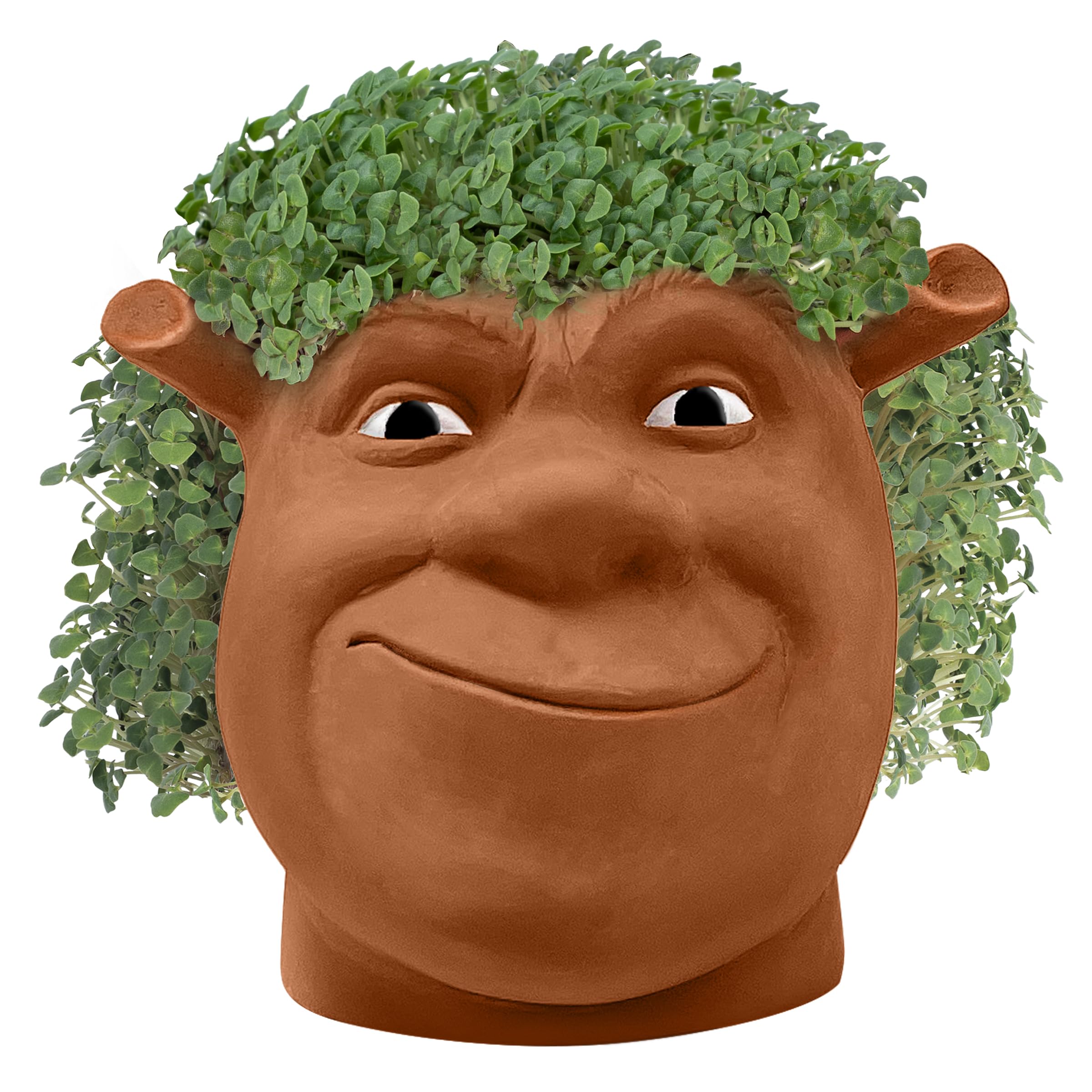 Chia Shrek growth timeline shows you what to expect in weeks.