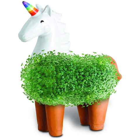 Chia Unicorn drip tray and planter ready for reuse and replants.