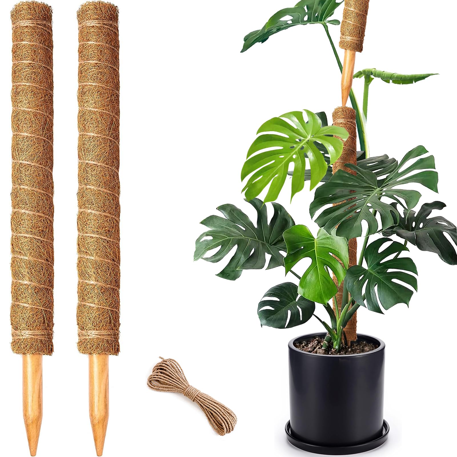 CHIAFFI 2-pack moss poles provide sturdy vertical support for Monstera and pothos.