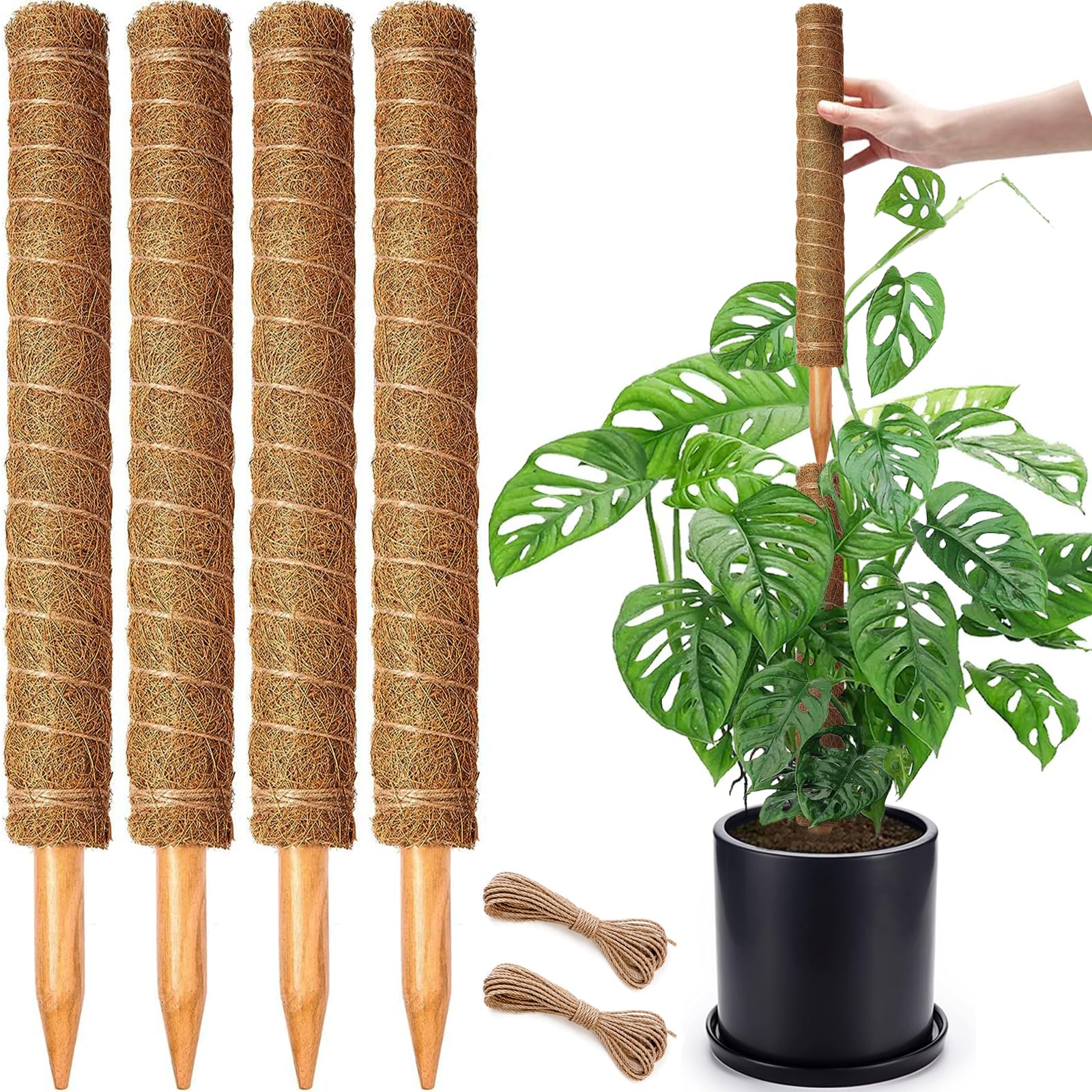 CHIAFFI 4-pack 18-inch moss poles support tall Monstera upright growth indoors.