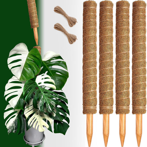 CHIAFFI sustainable moss poles suit Monstera, Pothos, ivy indoors.