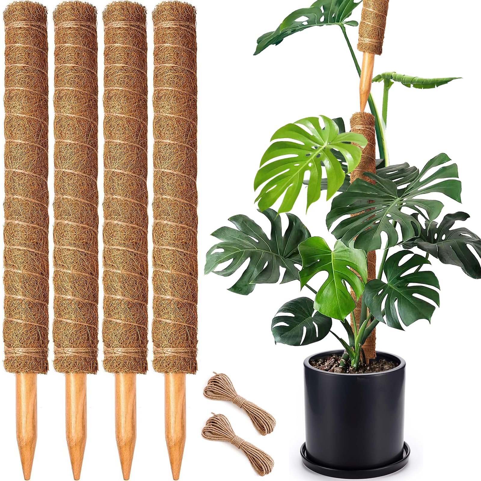 CHIAFFI moss pole supports Monstera growth with natural coir grip.