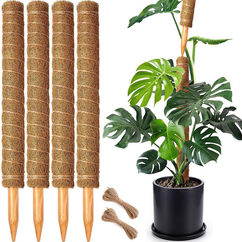 CHIAFFI moss pole supports Monstera growth with natural coir grip.