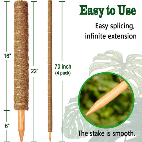 CHIAFFI moss pole supports Pothos vines for lush indoor growth.